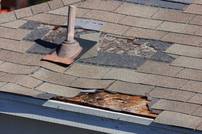 Damaged Roof Repair